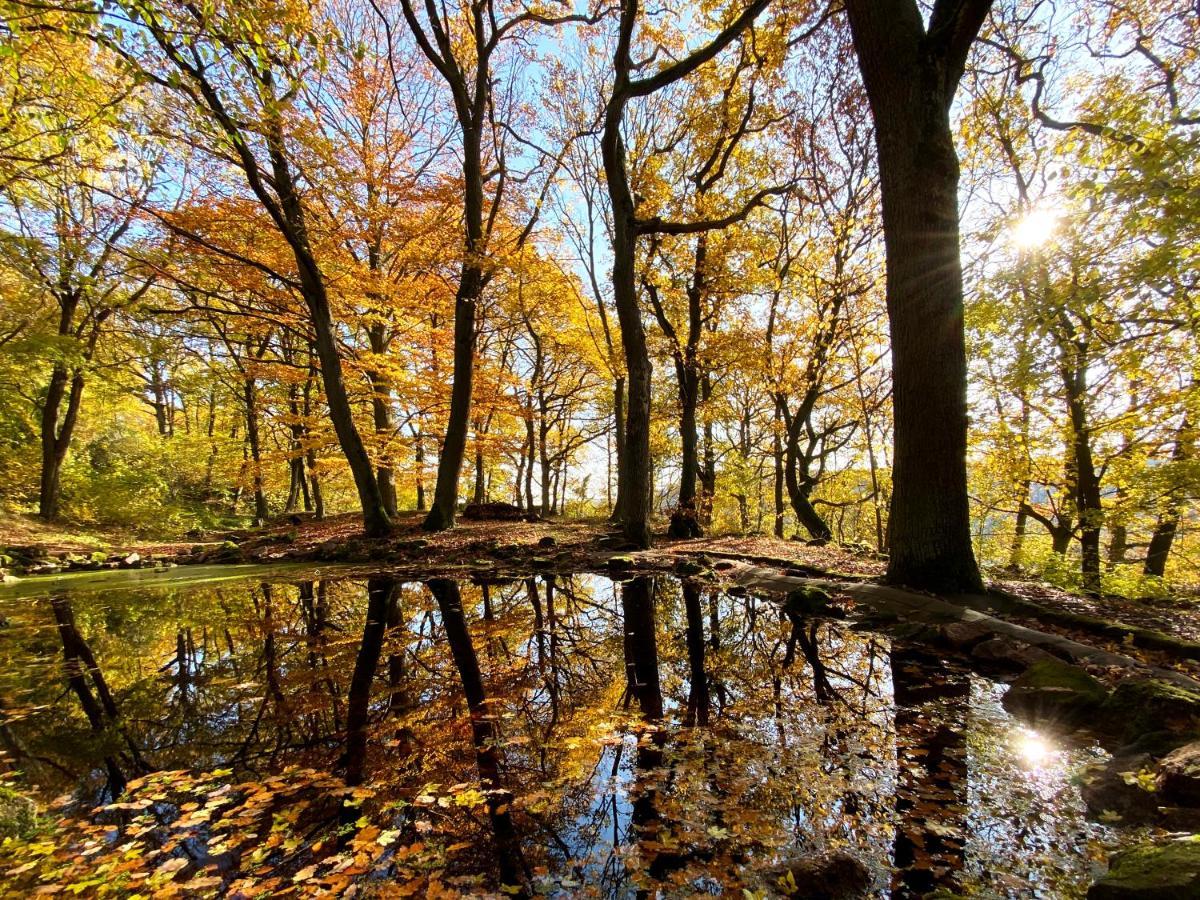Burghof Kyffhaeuser Бад-Франкенгаузен Екстер'єр фото